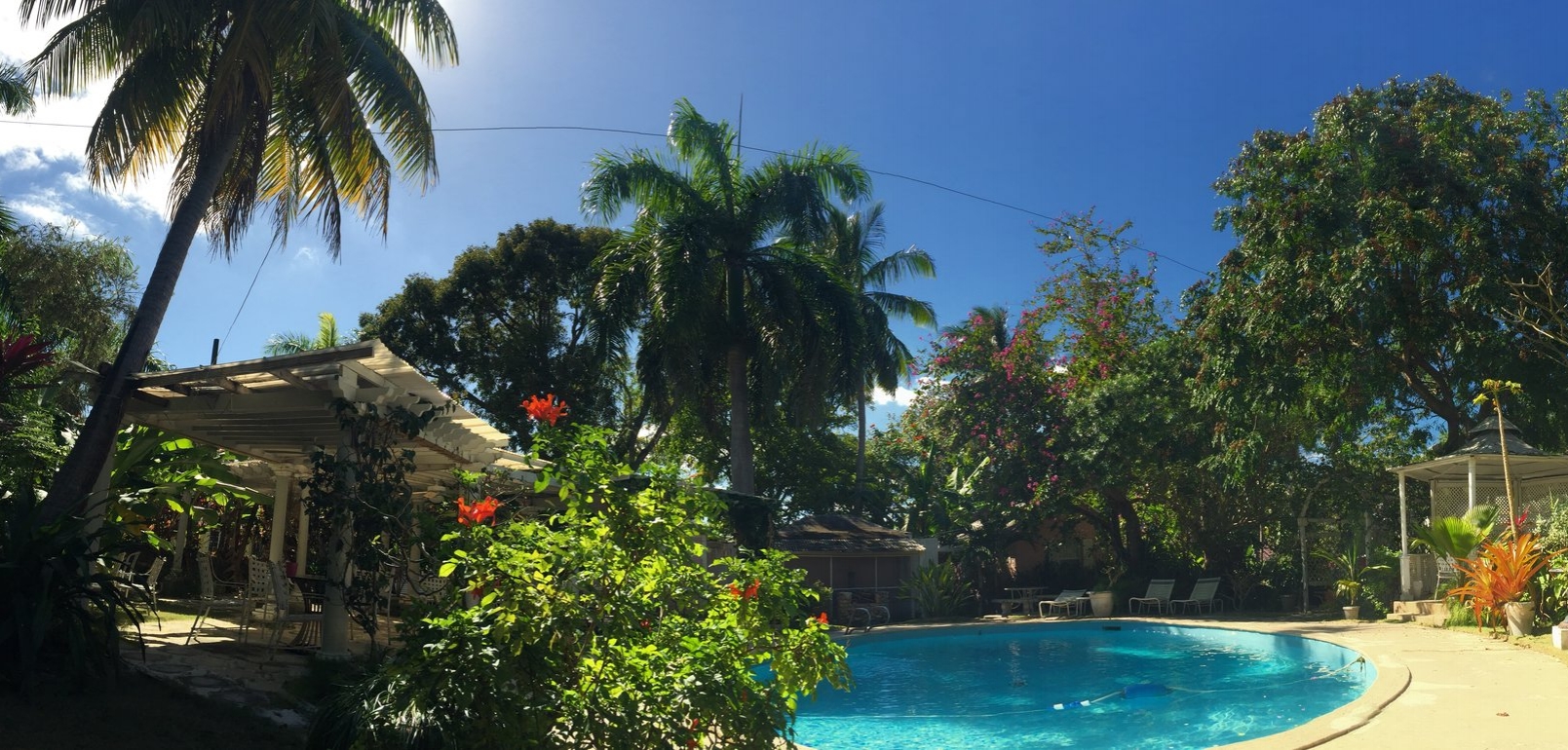 Tropical grounds of the Orchard Garden Hotel